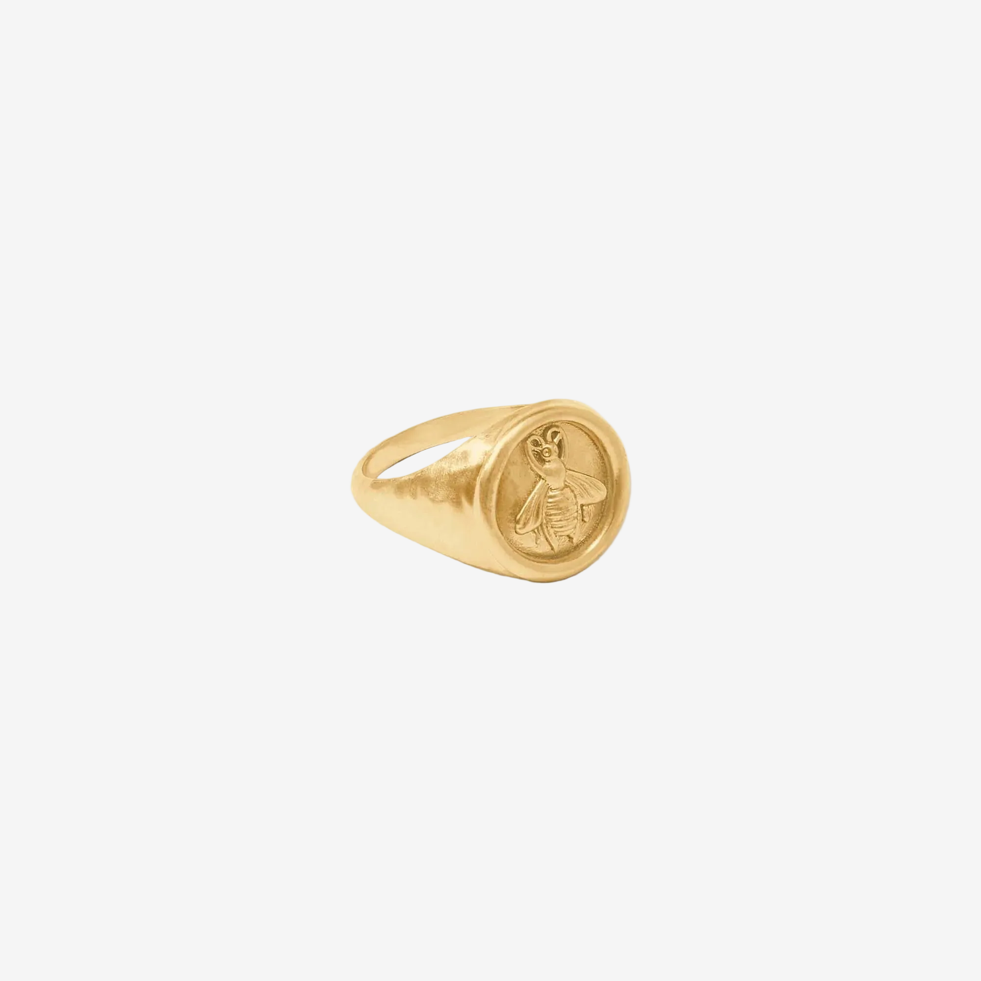Gold signet ring on a white background