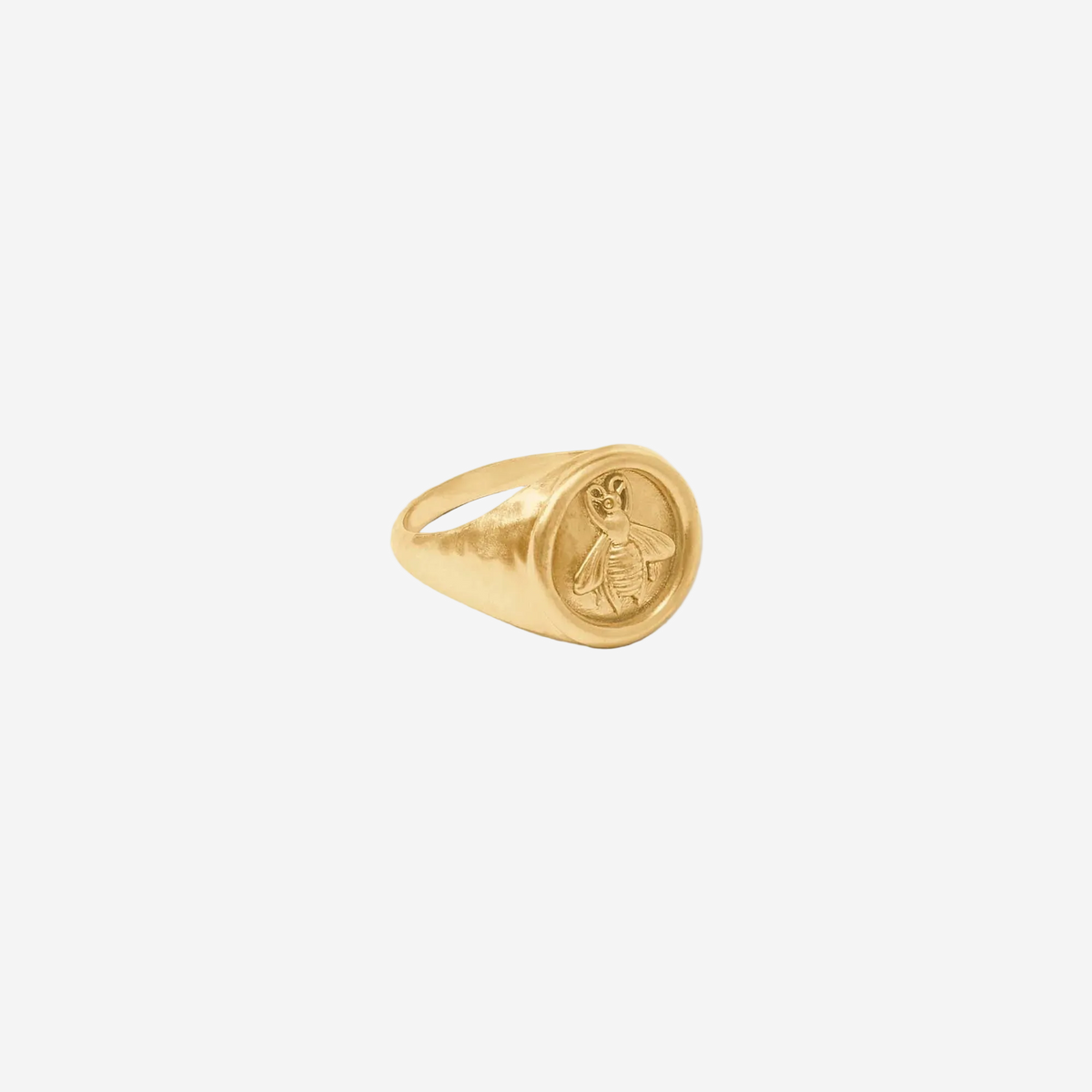 Gold signet ring on a white background